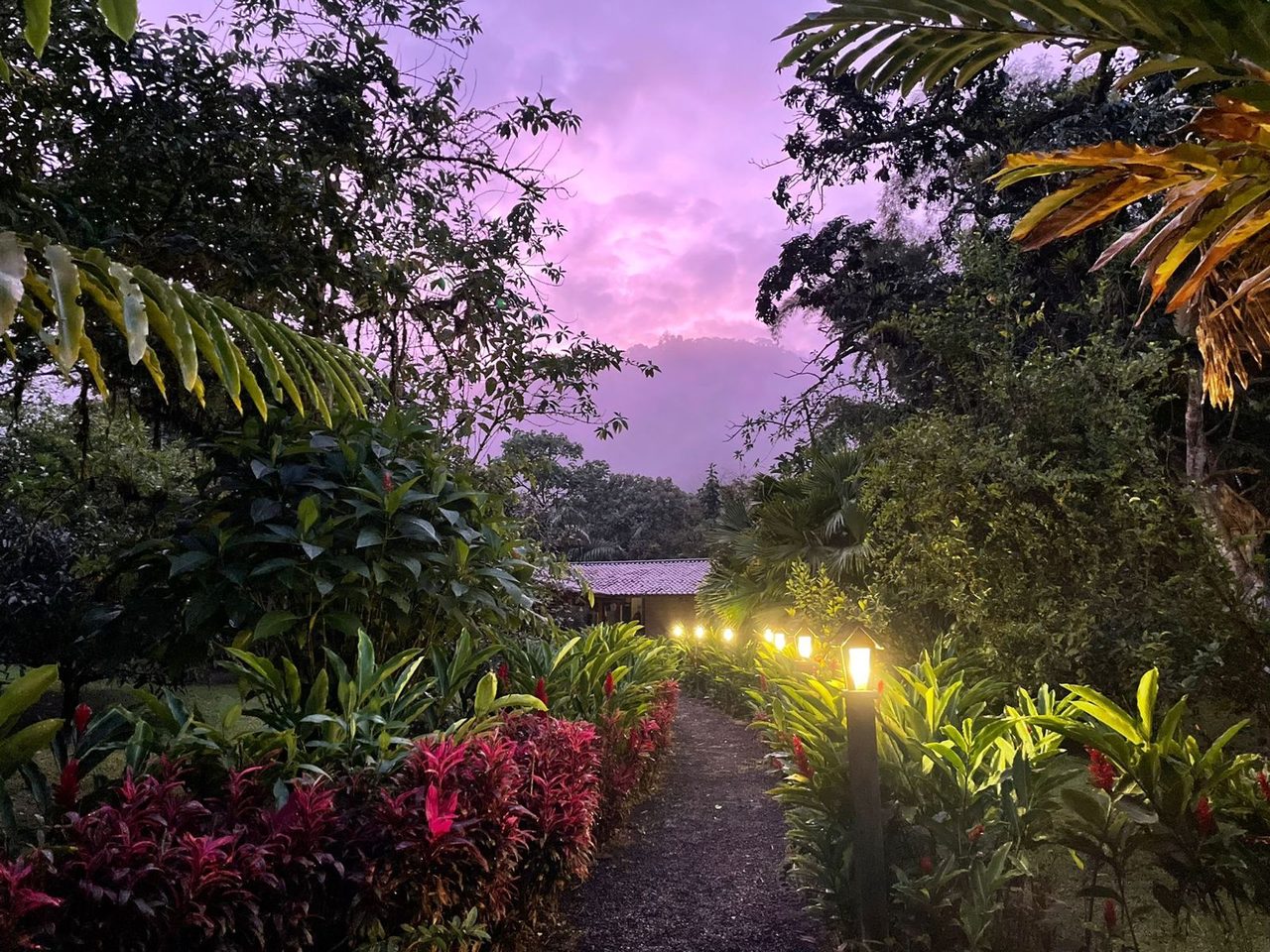 Sunset over the Amaroo land in the cloud forest